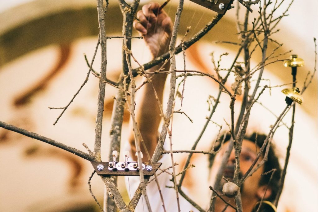 "Concierto para un Árbol". Foto de Vera Marmelo