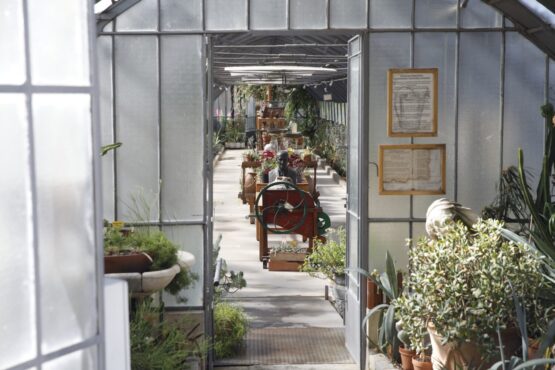 Interior del vivero de Retiro, uno de los viveros municipales que también colabora en Refúgiate en la Cultura