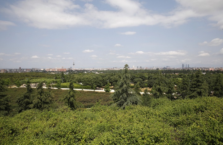 Imagen de un parque en Madrid