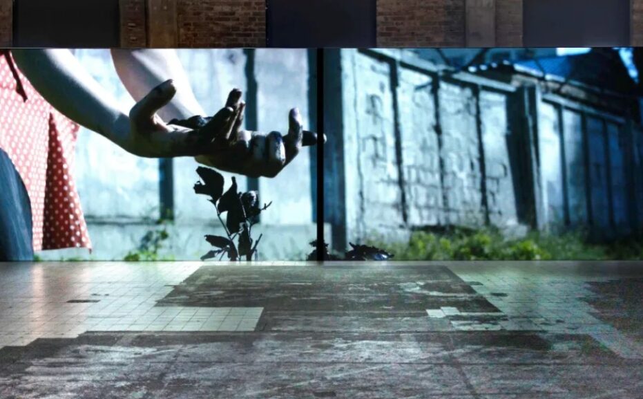 Instalación audiovisual en Matadero Madrid que muestra una proyección de unas manos cubiertas de tierra sosteniendo una planta, frente a un muro gris, con el suelo de la sala reflejando parte de la imagen proyectada.