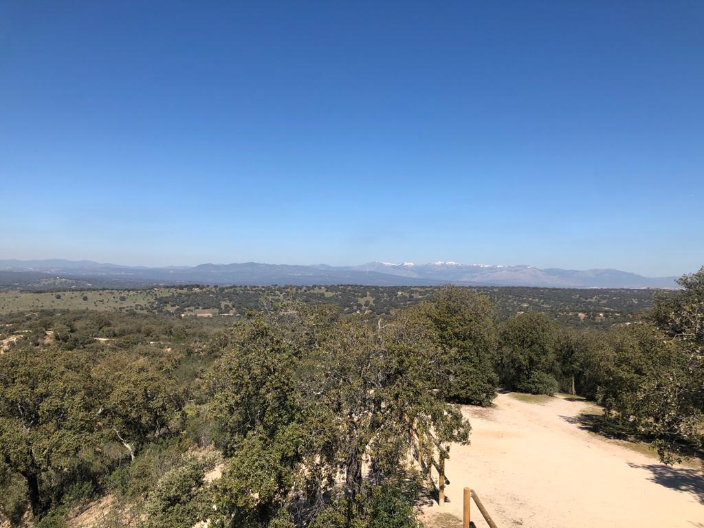 Vista panorámica del Monte de El Pardo con paisaje natural y Sierra de Guadarrama al fondo