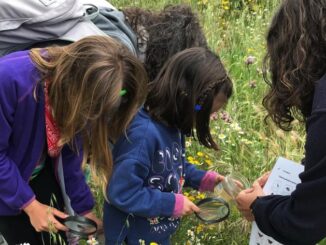 La Comunidad de Madrid organiza más de 200 actividades medioambientales gratuitas este otoño para descubrir la riqueza del patrimonio natural