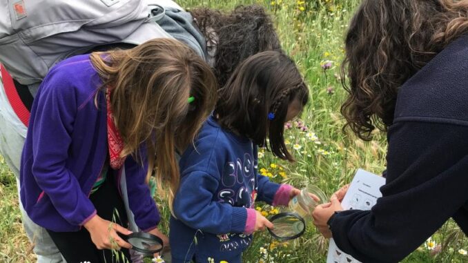 La Comunidad de Madrid organiza más de 200 actividades medioambientales gratuitas este otoño para descubrir la riqueza del patrimonio natural