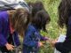 La Comunidad de Madrid organiza más de 200 actividades medioambientales gratuitas este otoño para descubrir la riqueza del patrimonio natural